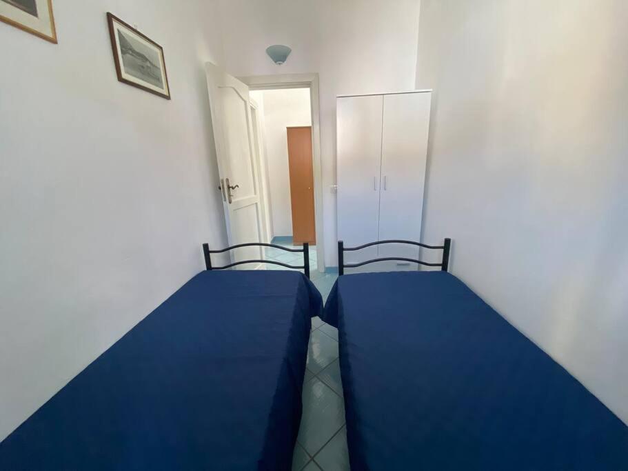 Casa Ferrandino Villa Ischia Bagian luar foto